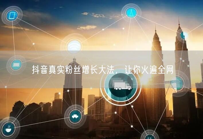 抖音真实粉丝增长大法，让你火遍全网