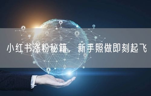 小红书涨粉秘籍，新手照做即刻起飞